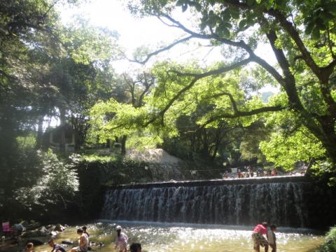 ハウスメイト 鳥栖店の公式ブログ 賃貸マンション アパートのお部屋探しならハウスメイト